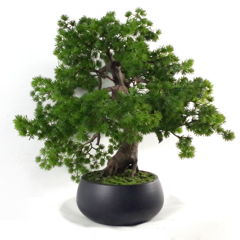 50cm Faux Bonsai Plant in Ceramic Pot