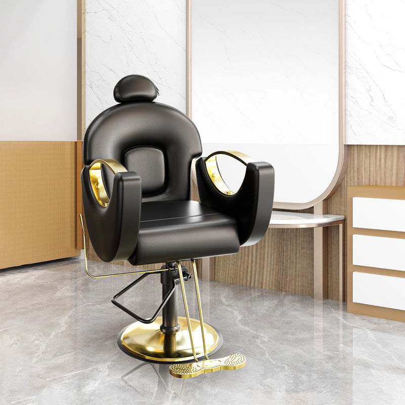 Fauteuil de coiffeur inclinable, fauteuil de coiffeur pivotant à 360 ° avec pompe hydraulique robuste pour coiffeur et coiffeur