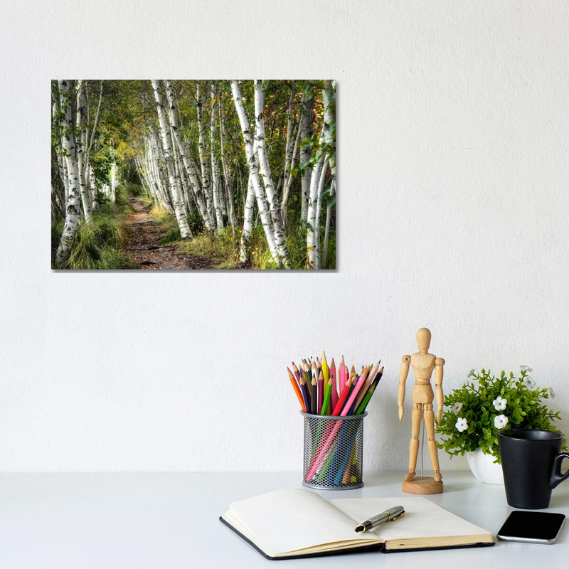 A Walk Through The Birch Trees by Danny Head - Print on Canvas, 20.32 cm H x 30.48 cm W, No Frame, No Frame