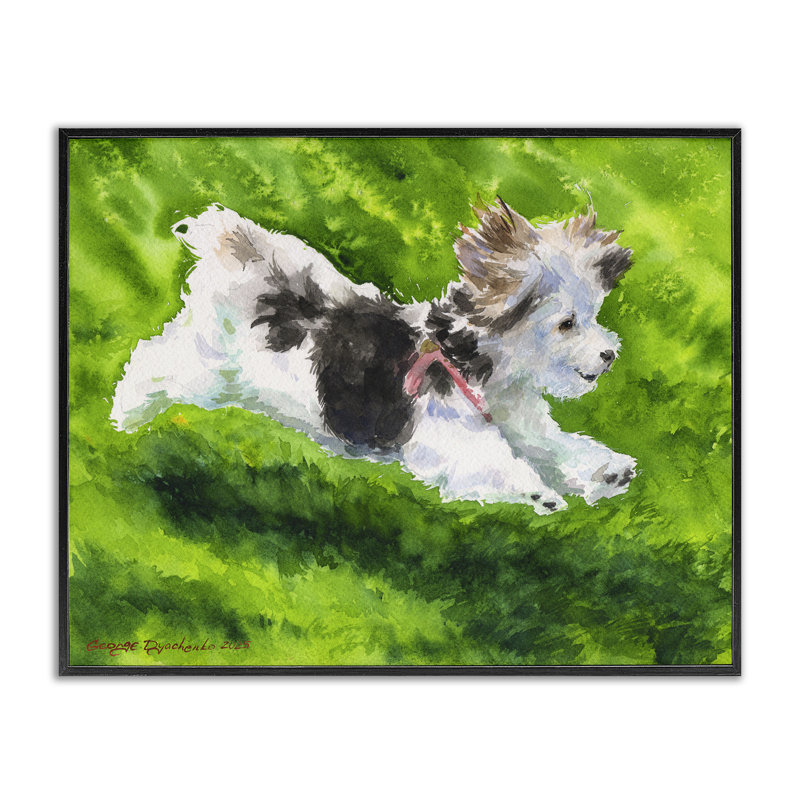Happy Maltipoo, giclée encadrée par George Dyachenko, Giclée encadrée noir minuit, H 24 po x l 30 po