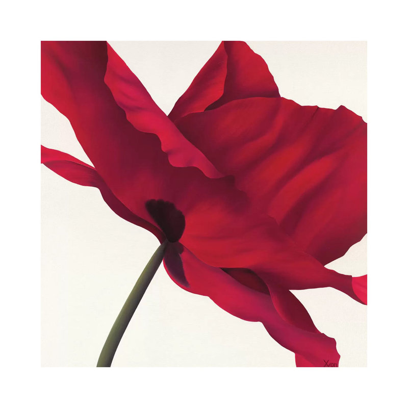 Papaver I by Yvonne Poelstra-Holzhaus - Wrapped Canvas Panoramic Painting, 66.04 cm H x 66.04 cm W x 1.91 cm D