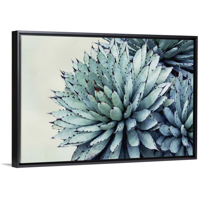 « Green Crush IX » par Elizabeth Urquhart-reproduction de photo sur toile, 34" H x 50" W x 1.75" D, Cadre noir