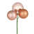 Or rose