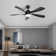 Damecia 52'' Modern Ceiling Fan with LED Light and Remote Control
