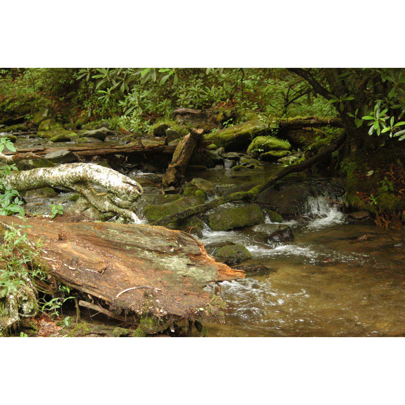 Landscape & Nature Non-Wall Damaging Wall Decal, 32" H x 48" W