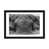 Black Framed Paper is unavailable