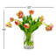 DOUBLE TULIP WITH LEAVES IN CYLINDER