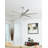 Mondo 72'' Ceiling Fan-91957052