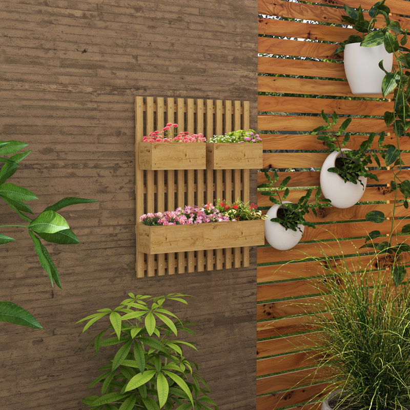 Brexlee Wall-mounted Wooden Garden Planters with Trellis, Carbonised