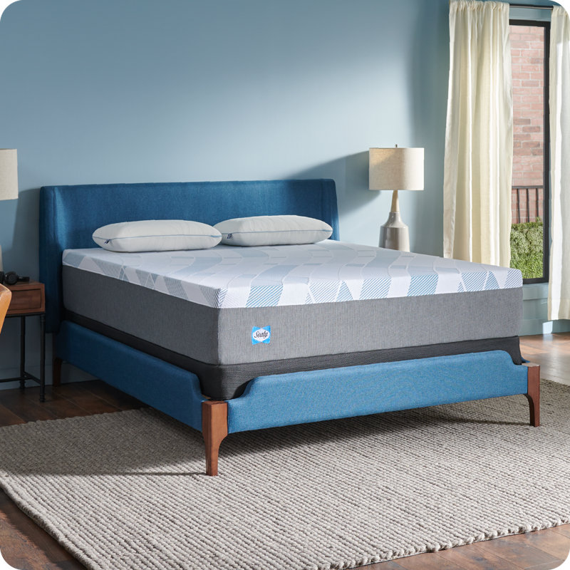 Sealy Dreamlife 12" Gray Gel Memory Foam Queen Mattress