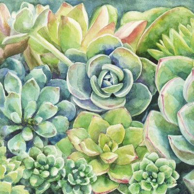 " Succulents " Painting Print