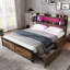 Storage Bed-1391353085