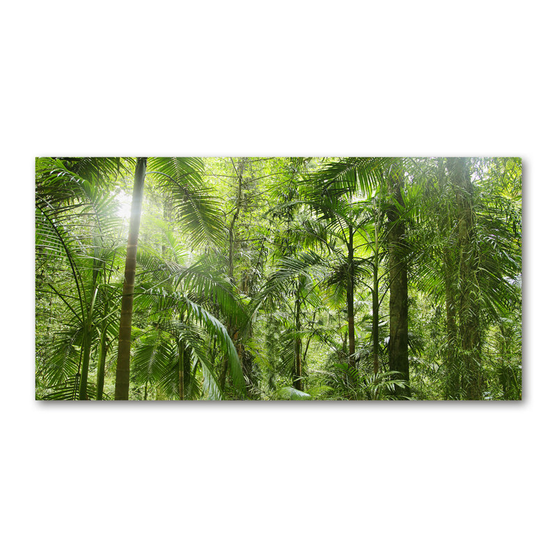 Tropical Forest - Wrapped Canvas Print