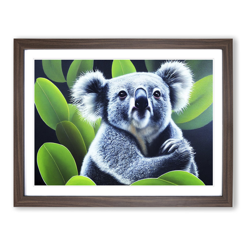 Koala Bear - Single Picture Frame Print, 46cm H x 64cm W x 2cm D, Walnut