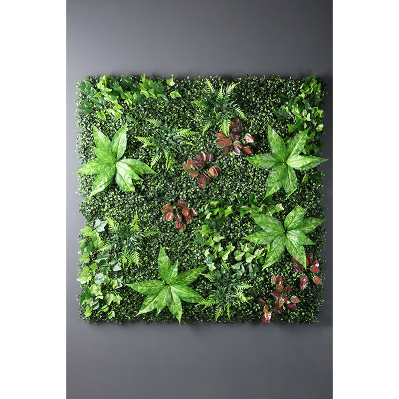 100x100cm Living Wall Panel - Mixed Foliage