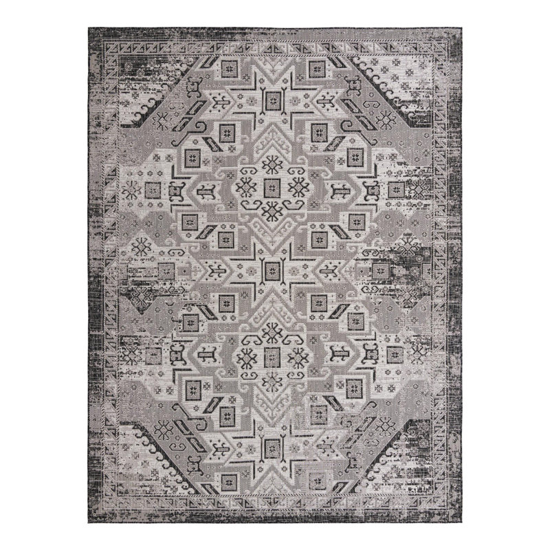Alucard Indoor / Outdoor Rug, Rectangle 9' x 12'