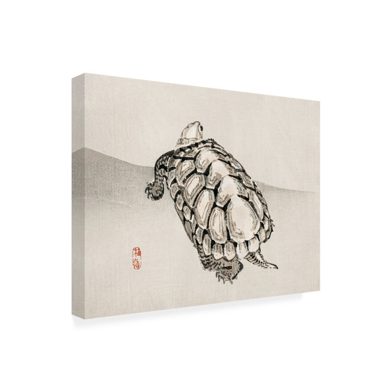 Art sur toile tortue bolologia,, H 35 po x l 47 po