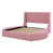Rose est en rupture de stock