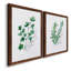 Freshly Picked I - Ensemble de 2 peintures sur toile encadrées-1667209250-1667209249