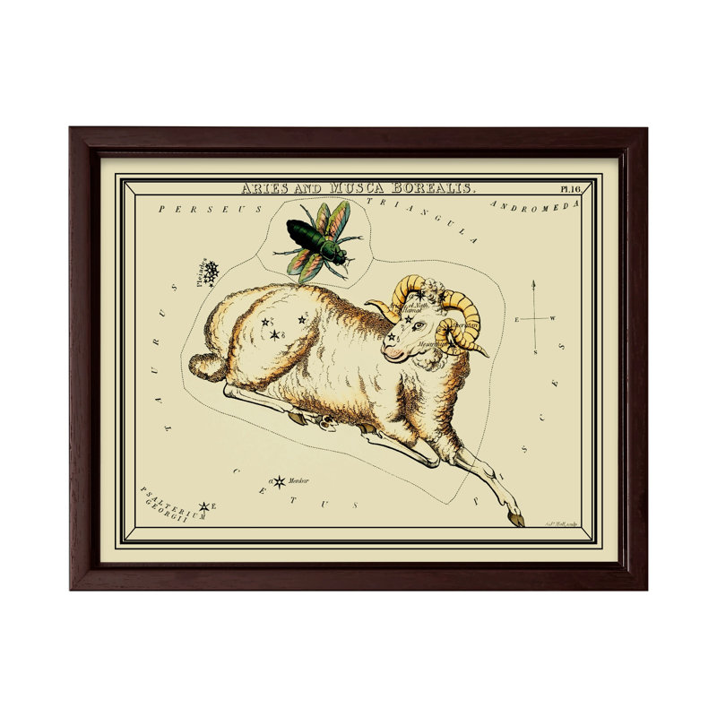 Miroir d'Urania Bélier et Musca Borealis, Canevas, H 11 po x l 14 po, Encadrement brun