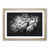Oak Framed selected