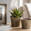 Ensemble de 3 jardinières