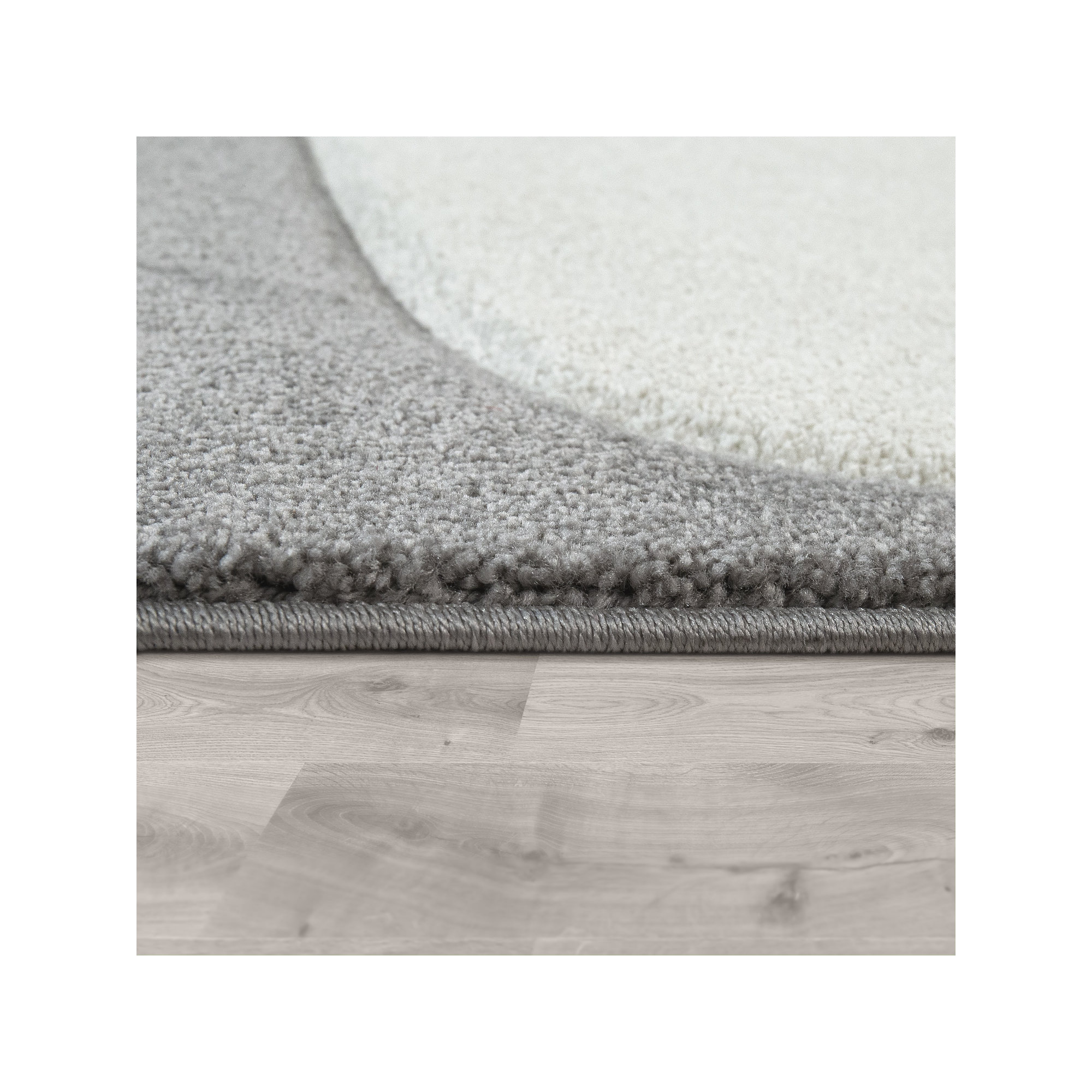 Hotwells Area Rug in Gray/White, Rectangle 3'11" x 5'7"