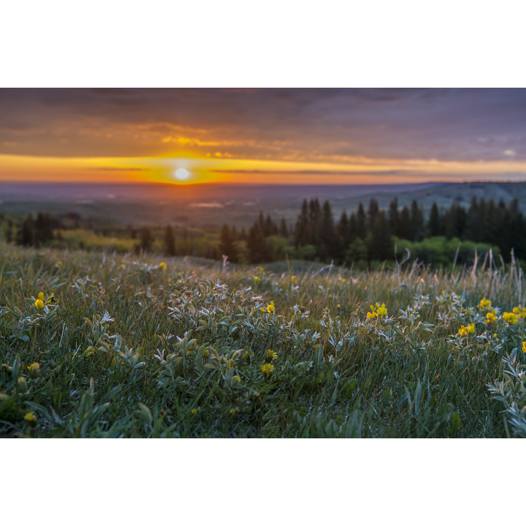 Dawn Over The Cypress Hills von James_Gabbert - Drucken