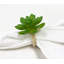 Napkin Ring