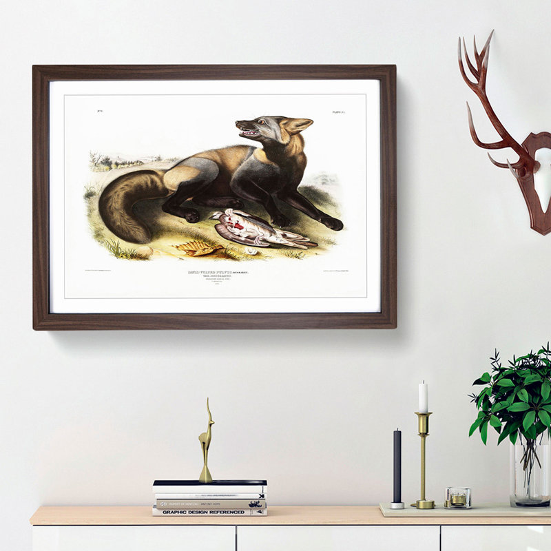 American Cross-Fox by J.W. Audubon - Picture Frame Painting Print, 27cm H x 36cm W x 2cm D, Walnut Framed