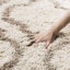 Tapis à poils longs Darrold Hudson-2049818638