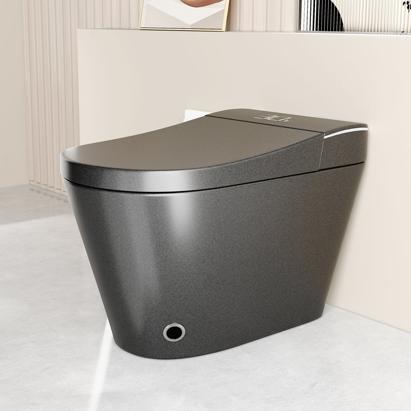 Camber Unique Smart Toilet with Bidet, Auto Open Close Seat, Warm Water Wash & Dryer, Gray