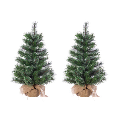 Unlit Hard Needle Pine With 76 Tips