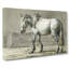 Horse In The Stable by Jean Bernard - Wrapped Canvas Painting-55360466