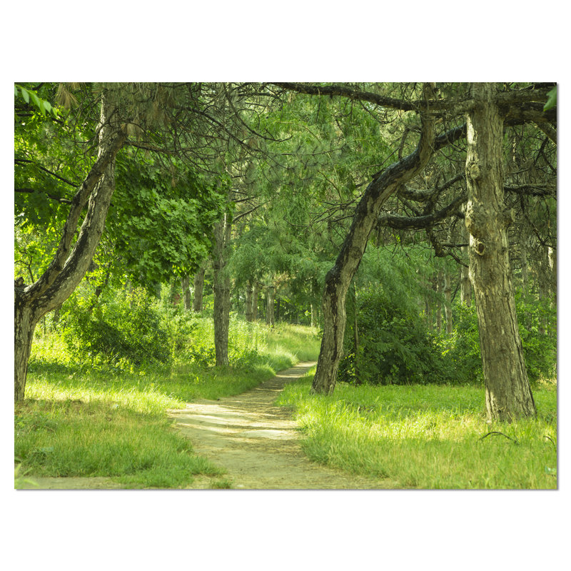 Green Forest Path Landscape Canvas Print, 32" x 16"