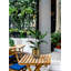 Cache-pot Rudalph-998456171
