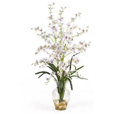 Orchid Arrangement