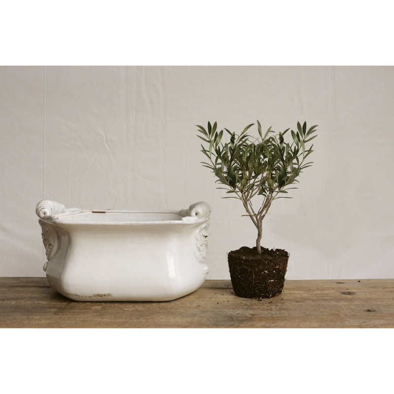 Mcfarland Decorative Terra-cotta Cache Pot