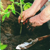 10 Pieces Heavy Duty Gardenting Tool Kit