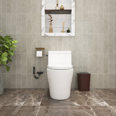TCYO 1.28 GPF Elongated One-Piece Toilet (Seat Included)