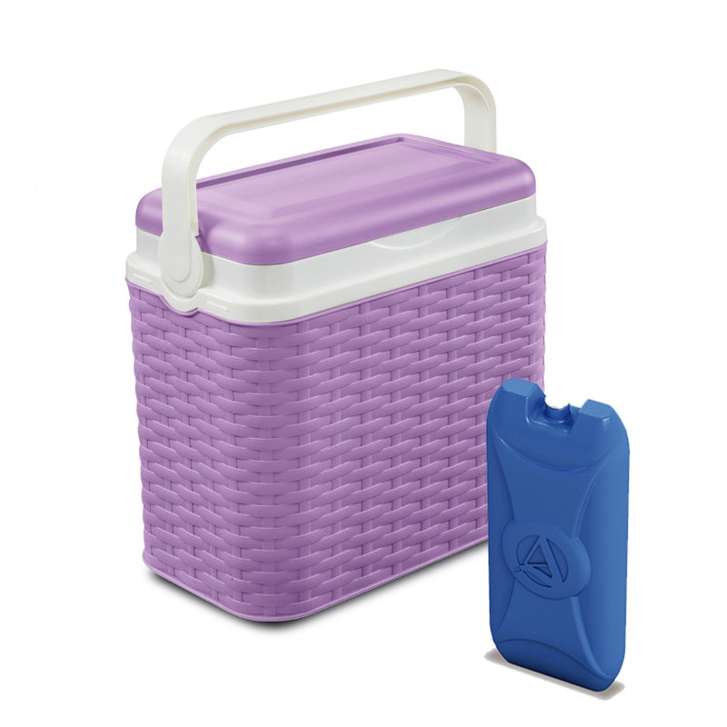 Symple Stuff 10L Handheld Cooler, Lavender