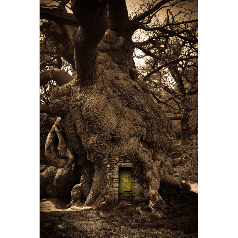 Green Door - Wrapped Canvas Print, 46cm H x 30cm W