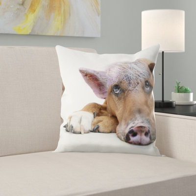 Coussin décoratif