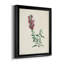 Traditional Botanical I - Ensemble de 4 peintures sur toile encadrées-1478529738-1478529740