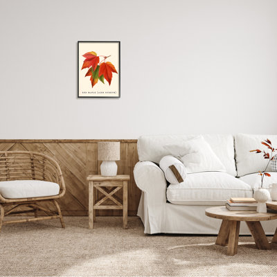 Feuillage d'automne antique avec feuille d'érable rouge par Daphne Polselli - impression