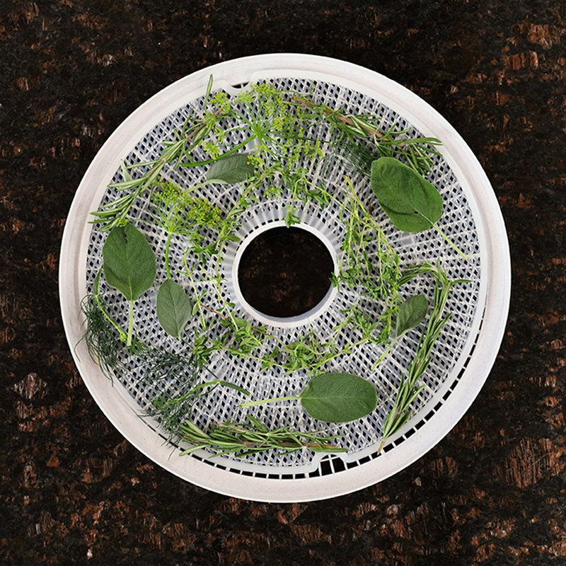 Nesco Clean- A-Screen® For 4 Tray 500-Watt Food Dehydrator