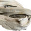Lampe de table 33 po Coastal-22694946