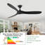 Solid Wood Ceiling Fan with  Remote-1840510696-1840510693