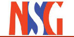 Logo National Sporting Goods