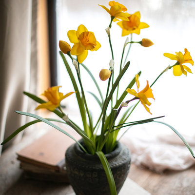 Daffodil Arrangement